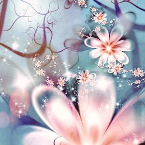 Meet your Posher, Dottie